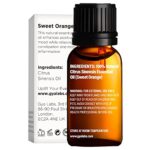 gya labs sweet orange essential oil for diffuser 100% pure and natural therapeutic grade sweet orange essential oils…