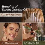 gya labs sweet orange essential oil for diffuser 100% pure and natural therapeutic grade sweet orange essential oils…