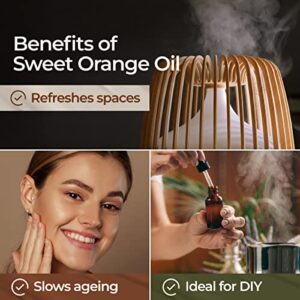 gya labs sweet orange essential oil for diffuser 100% pure and natural therapeutic grade sweet orange essential oils…