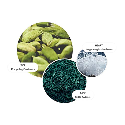 Molton-Brown-Coastal-Cypress-Sea-Fennel-Bath-Shower-Gel version 1.0.0