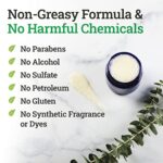 Remedy Tea Tree Oil Balm - Cream for Athletes Foot, Jock Itch, Ringworm, Eczema, Nail Issues, Rash, Skin Irritation… version 1.0.0