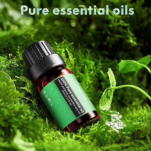 Essential-Oil-Diffuser-Gift-Set-550ml-Diffuser-Essential-Oil-Set-Top-10-Essential-Oils-Aromatherapy-Diffuser-Humidifier-with-4-Timer-Auto-Shut-Off-for-15-Ambient-Light-Settings version 1.0.0