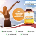 Simple-Organics Berberine 500mg (1000mg Per Serving) - 120 Capsules- Supports Healthy Immune Function, Gastrointestinal… version 1.0.0