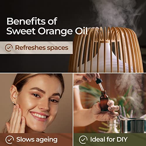 Gya-Labs-Sweet-Orange-Essential-Oil-for-Diffuser-100-Pure-and-Natural-Therapeutic-Grade-Sweet-Orange-Essential-Oils-for-Skin-Use-Sweet-Orange-Oil-Essential-Oil-for-Aromatherapy-034-fl-oz version 1.0.0