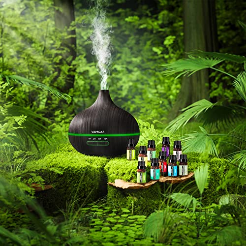 Essential-Oil-Diffuser-Gift-Set-550ml-Diffuser-Essential-Oil-Set-Top-10-Essential-Oils-Aromatherapy-Diffuser-Humidifier-with-4-Timer-Auto-Shut-Off-for-15-Ambient-Light-Settings version 1.0.0