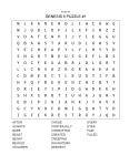 WORD SEARCH PUZZLE: BIBLE WORDS AND TERMS Paperback – Large Print, July 25, 2022 final word search puzzles 1240 vol 1 4.webp